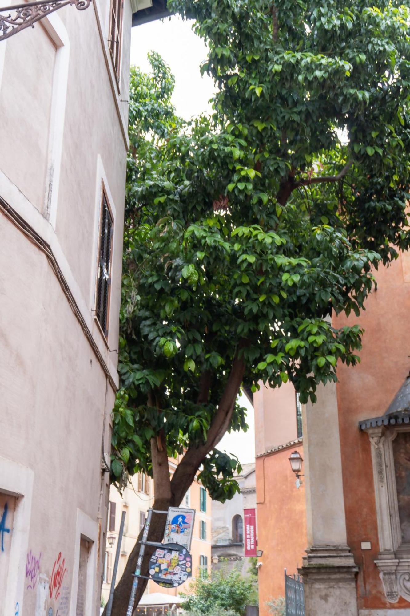 Apartment Beyond The Tiber Trastevere *