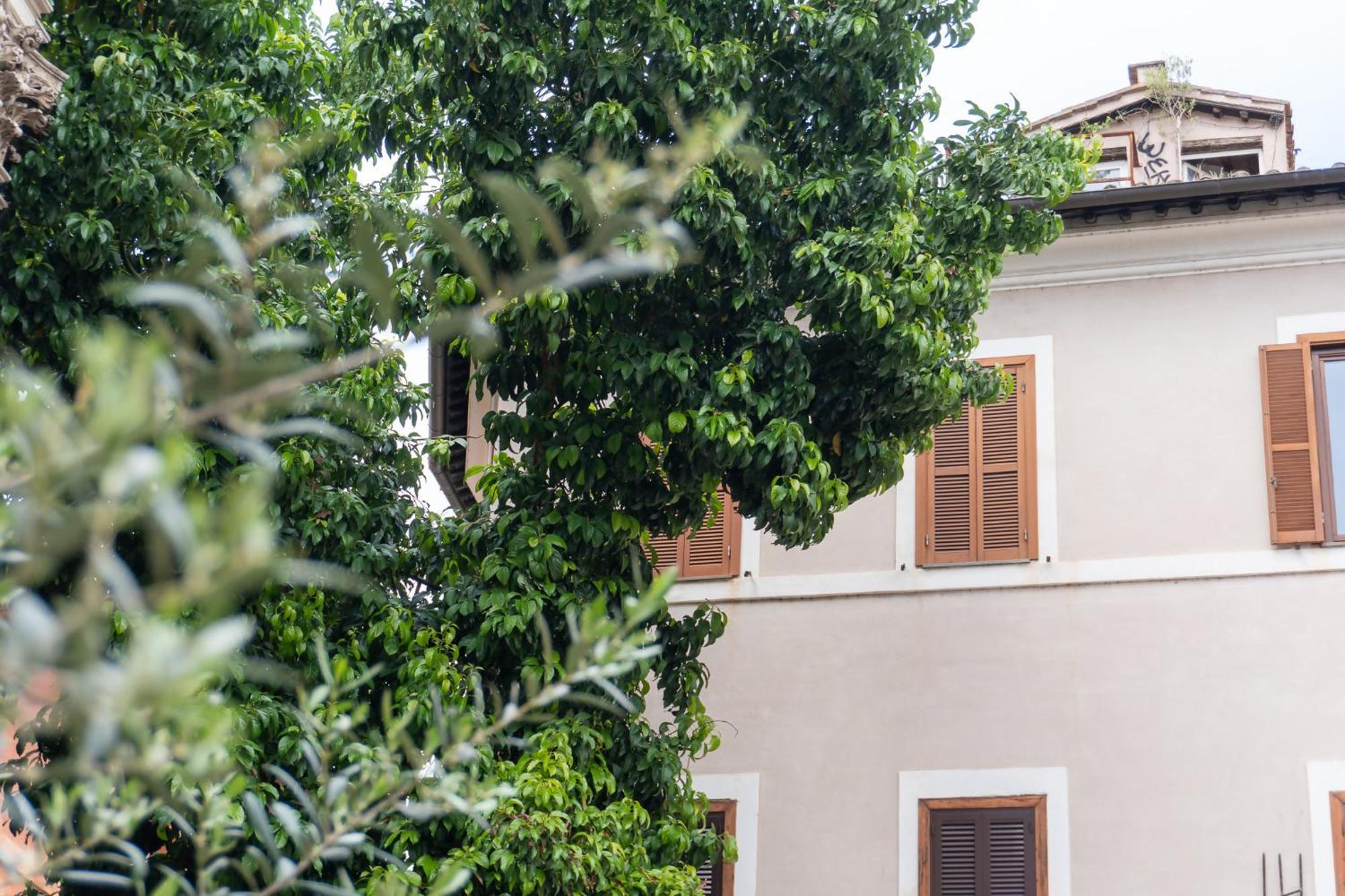 Beyond The Tiber Trastevere *