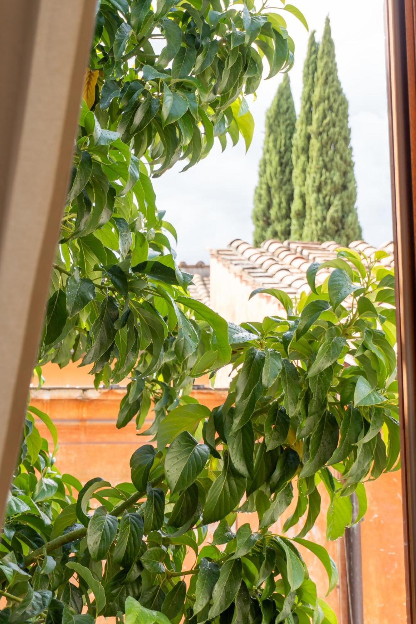 Beyond The Tiber Trastevere Apartment Rom